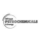 https://cdn.bmgworld.net/African_Petrochemicals_and_Energy_f4545c798f.jpg